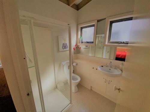 a bathroom with a toilet and a sink at Mountain Retreat Suitable for 2 Families, Sleeps 8 in Mount Buller