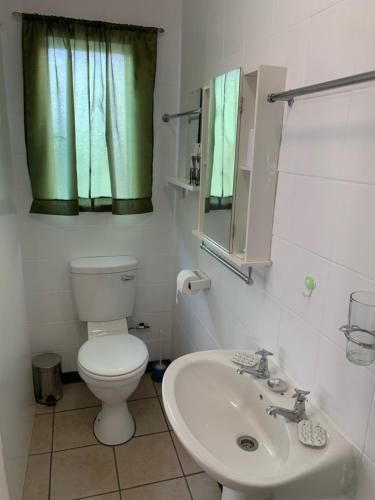 a bathroom with a toilet and a sink and a mirror at Plum Cottage in Nelspruit