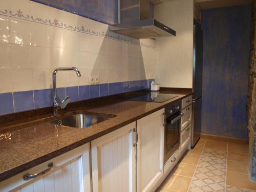 a kitchen with a sink and a stove at Apartamentos Casa Gallan in Sarvisé