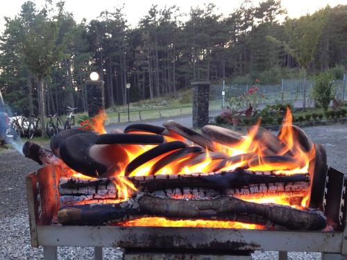 a fire pit with flames in a park at Cuccaro Club - Val di Vara e Cinque Terre in Rocchetta di Vara