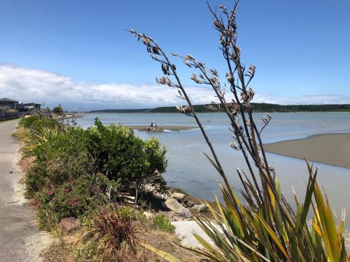 a beach with people swimming in the water at Nikau’s on Palmer in Foxton Beach