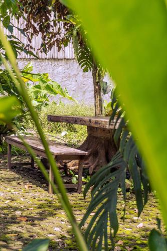 a wooden bench sitting next to a tree at Adara Homestay in Banyuwangi