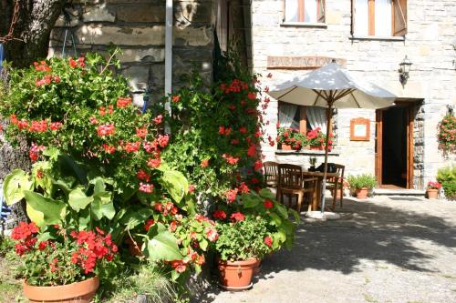 a group of flowers in pots in front of a building at Apartamentos Casa Gallan in Sarvisé