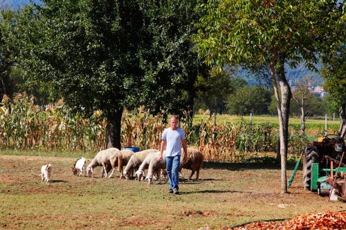 Hosté ubytování Azienda Agrituristica Pericle