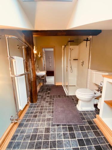 a bathroom with a toilet and a shower at Gutshaus Klein kussewitz in Klein Kussewitz