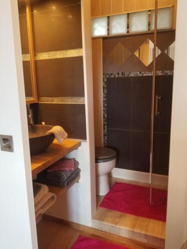 a bathroom with a shower and a toilet at Chambres d'Hôtes de la Grone in Argelès-sur-Mer