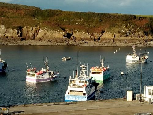 a group of boats in a body of water at Hotel Au Bout Du Monde in Le Conquet