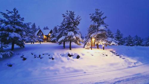 Previja Zlatibor Chalet pozimi