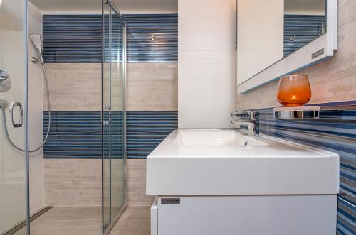 bagno con lavandino e doccia in vetro di Casa Nicolae Luxury Suites a Sibiu