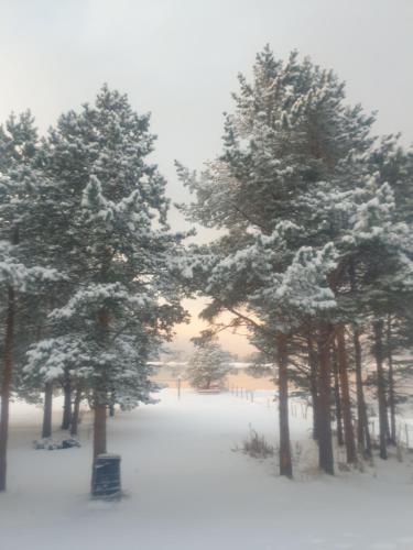 Galeriebild der Unterkunft Solvang camping og leirsted in Alta