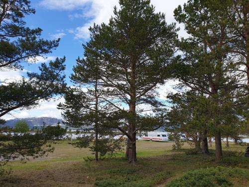 Galeriebild der Unterkunft Solvang camping og leirsted in Alta