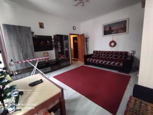 ein Wohnzimmer mit einem Sofa und einem roten Teppich in der Unterkunft Квартира в центрі міста in Lwiw
