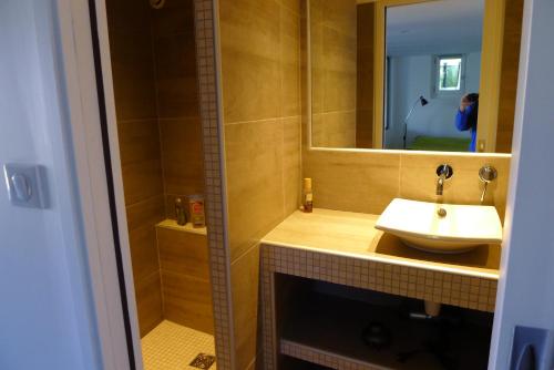 uma casa de banho com um lavatório e um espelho em le petit domaine 07 em Les Vans