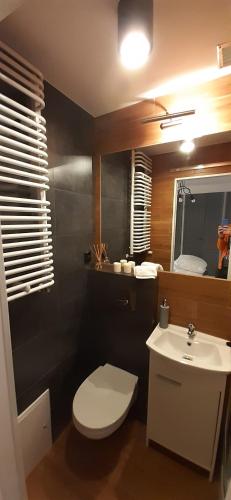 a bathroom with a white toilet and a sink at Old Town in Tarnów