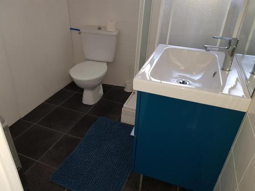 y baño con lavabo y aseo. en ST LARY-VIGNEC Joli petit appartement idéalament situé, en Vignec