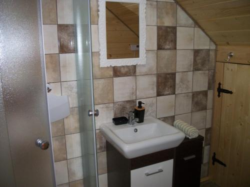 a bathroom with a sink and a mirror at Domek Stokrotka in Krynica Zdrój