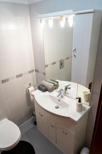 a bathroom with a sink and a toilet and a mirror at Clabucet Nest DeLuxe Apartment in Predeal