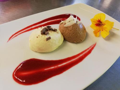 a white plate with twooops of ice cream and a red sauce at Berggasthof - Pension Lahnerhof in Liesing