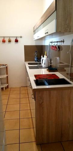 Dapur atau dapur kecil di Apartament Tylas 2
