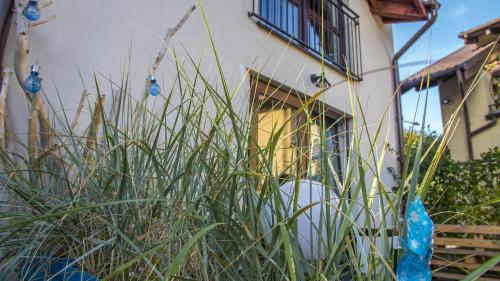 a house with tall grass in front of a window at Domki u Kota i Psa in Jastarnia