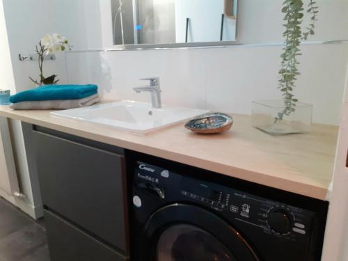une salle de bain avec un lavabo et une machine à laver dans l'établissement St Germain en Laye- La défense 17mn -STUDIO FIBRE -Terrasse, à Le Pecq