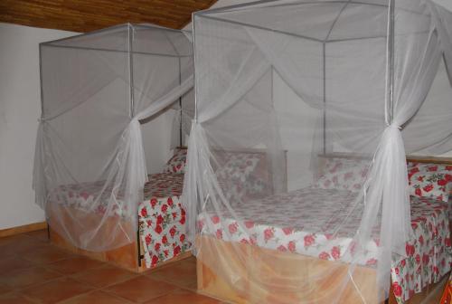 a bedroom with two beds with mosquito nets at Baobab Soleil in Sindia