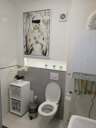エゲルにあるSalvus Apartmanのトイレ付きのバスルームと女性の写真