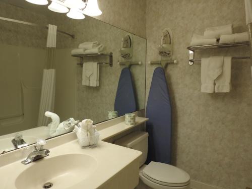 a bathroom with a sink and a toilet and a mirror at Inn at Cemetery Hill in Gettysburg