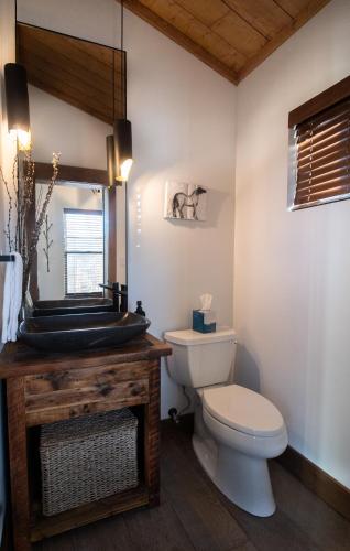 a bathroom with a toilet and a mirror at Relax in Luxury - Jacuzzi, Indoor/Outdoor Fireplace in Estes Park