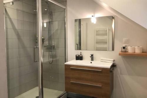 une salle de bain avec une douche, un lavabo et un miroir dans l'établissement LE COTEAU - centre ville, jardin & parking!, à Annecy