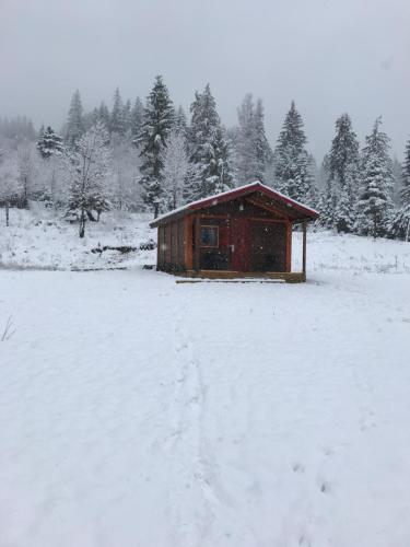 a wooden cabin in a snow covered field at Roua Muntelui in Cîmpu lui Neag