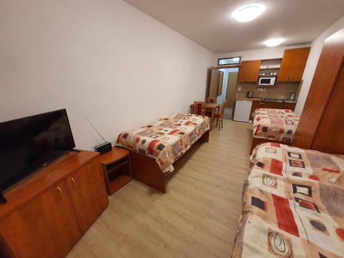Pokój z 2 łóżkami i telewizorem z płaskim ekranem w obiekcie Penzion u Buba w mieście Ostrov nad Oslavou