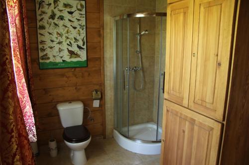 a bathroom with a toilet and a shower with a glass door at Folwark Stare Masiewo TRYBA in Narewka
