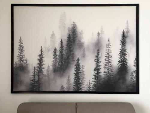 a picture of a forest of pine trees at Residence Aurora in Lavarone