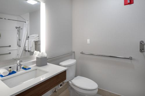a bathroom with a white toilet and a sink at Holiday Inn Express Arlington Interstate 20 Parks Mall, an IHG Hotel in Arlington