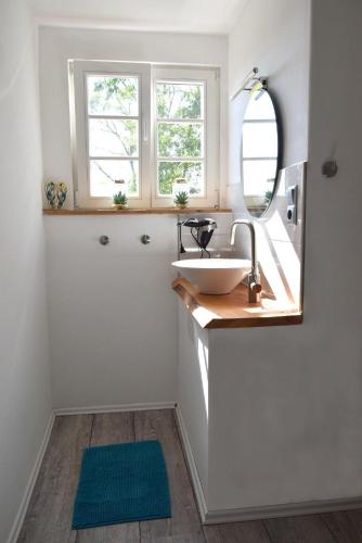 a bathroom with a sink and a mirror at Kleine-Schwalbe in Kabelhorst