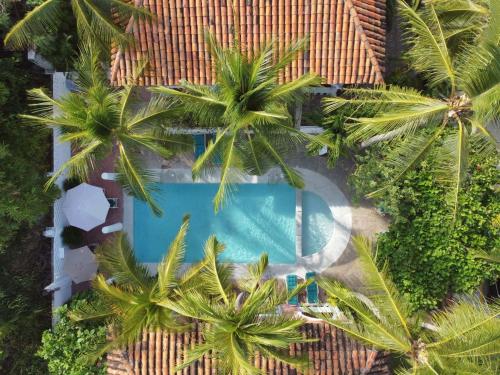 an overhead view of a swimming pool with palm trees at Bungalows Santa Cruz in Puerto Escondido