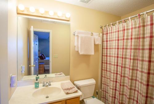 La salle de bains est pourvue d'un lavabo, de toilettes et d'une douche. dans l'établissement Family Friendly Massanutten Home with Beautiful Mountain Views!, à McGaheysville