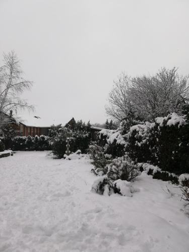 a yard covered in snow with bushes and trees at Le domaine des 3 marmottes Chambres d' hôtes in Cierp