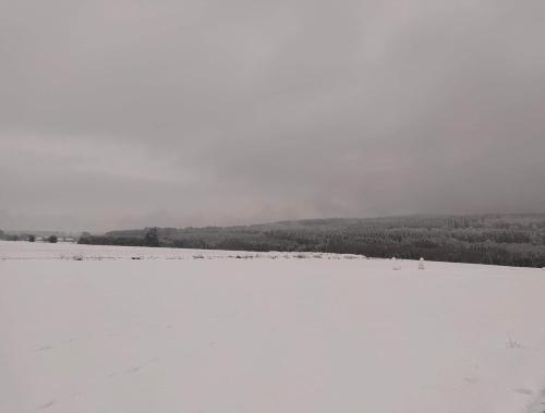 a snow covered lake with trees in the background at Au Frêne Centenaire in Bras