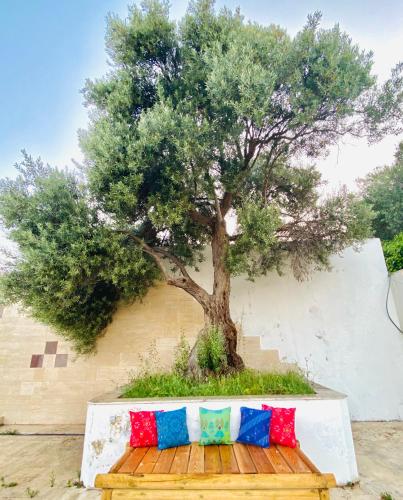 Κήπος έξω από το Alaçatı Barbarossa Hotel