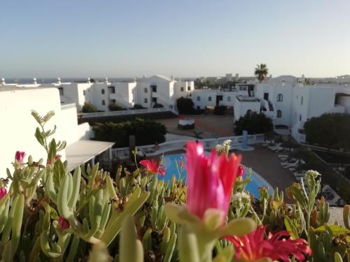NEW 2022 Sunny Terrace Sea And Pool Views, Costa Teguise ...