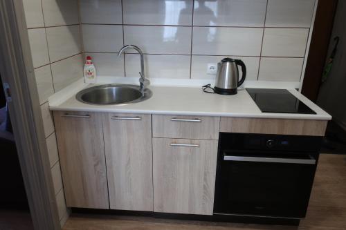 uma pequena cozinha com um lavatório e um fogão em Vienības 32 em Daugavpils