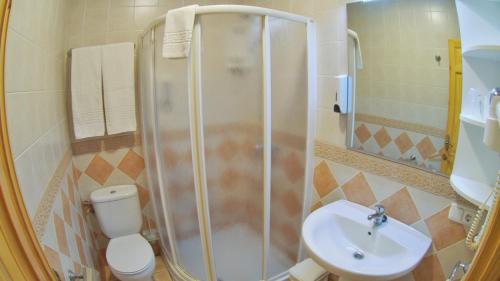 a bathroom with a shower and a sink and a toilet at Hs San Francisco - CÉNTRICO in Almagro