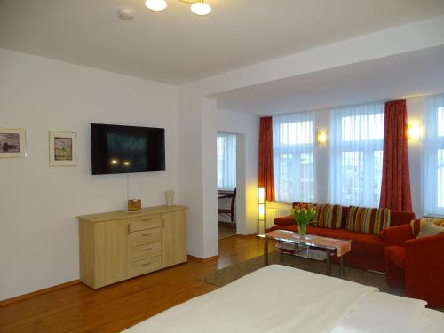 sala de estar con sofá y TV en Ferienwohnungen Stranddistel - Apartments von 30 bis 75 qm, en Zinnowitz