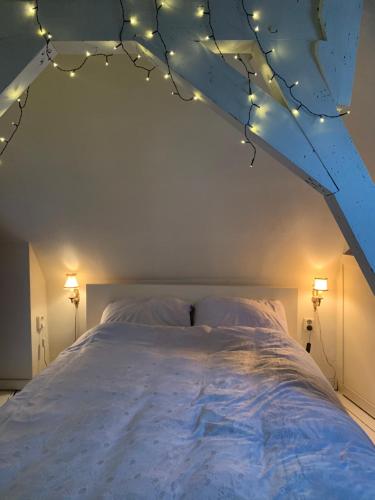Choco Loca Loft, Bed, Bad & Bol في سيرتوخيمبوس: غرفة نوم بها سرير مع أضواء عليه