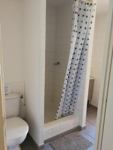 une salle de bain avec toilettes et douche dans l'établissement Vacargeles casa Les Mûriers et Les Chênes verts calme clim wifi animations piscine mini golf, à Argelès-sur-Mer