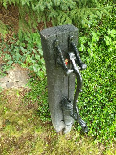 a black object with a faucet in the grass at VILLA GABRIEL in Trois-Ponts