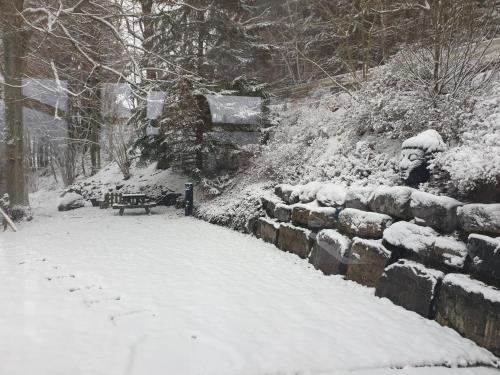 a snow covered path with a bench in a park at VILLA GABRIEL in Trois-Ponts