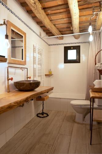 a bathroom with a sink and a toilet at Masovería l'Era in Arbúcies